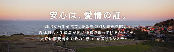 安心は、愛情の証